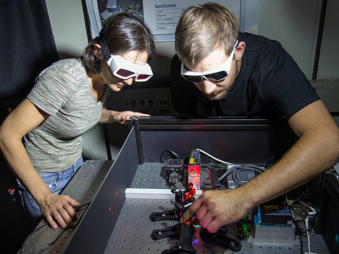 Dr. Zeynep Ökten and co-author Willi L. Stepp at the fluorescence-microscope. (Image: A. Battenberg / TUM)