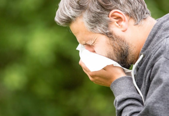 New immunotherapy treatments could help hay fever sufferers to keep their symptoms at bay