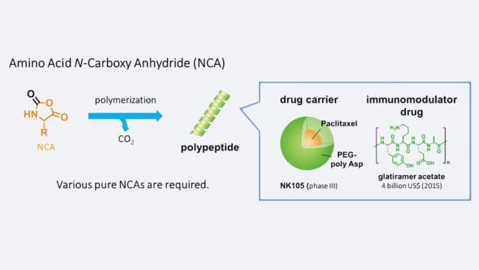 Synthesis of polypeptides and their importance. Polypeptides are made by chaining NCAs in various ways and have a wide variety of applications, such as drug carriers or drugs.