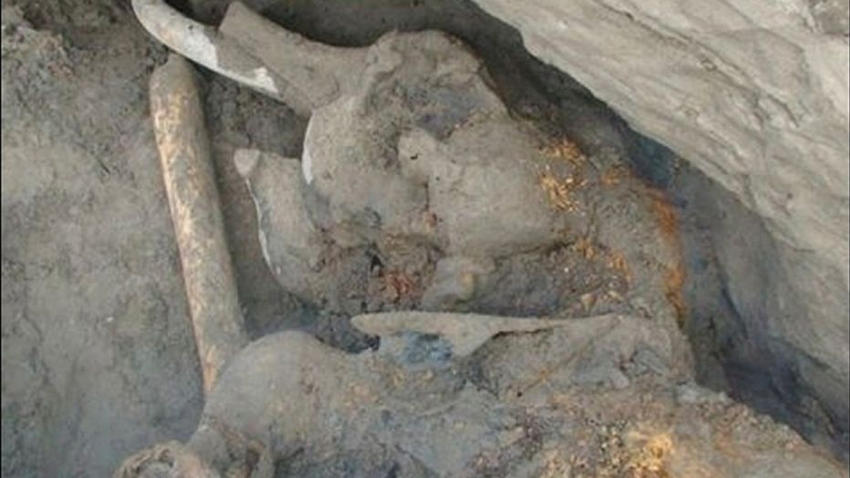 A second Sphinx was uncovered in Luxor, Egypt during upgrades being made to a road.