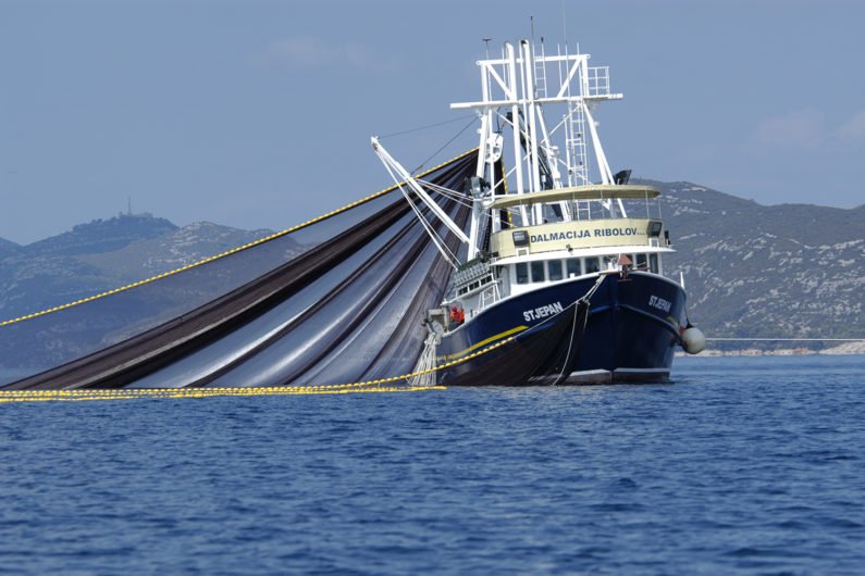 Fishing vessels like this one were tracked during a short-lived trawling moratorium in the Adriatic Sea as part of a Stanford study. (Image credit: Ulrich Karlowski 2008 / Marine Photobank)