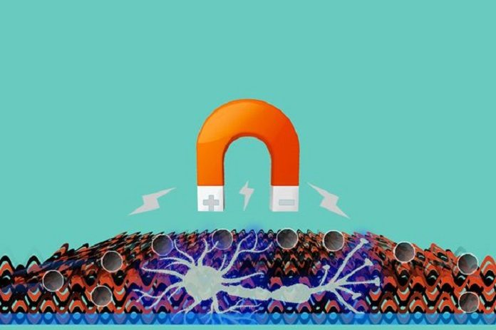 In an artist’s conception, a magnet pulls small magnetic particles inside a gel to control a neural cell’s flow of certain ions.