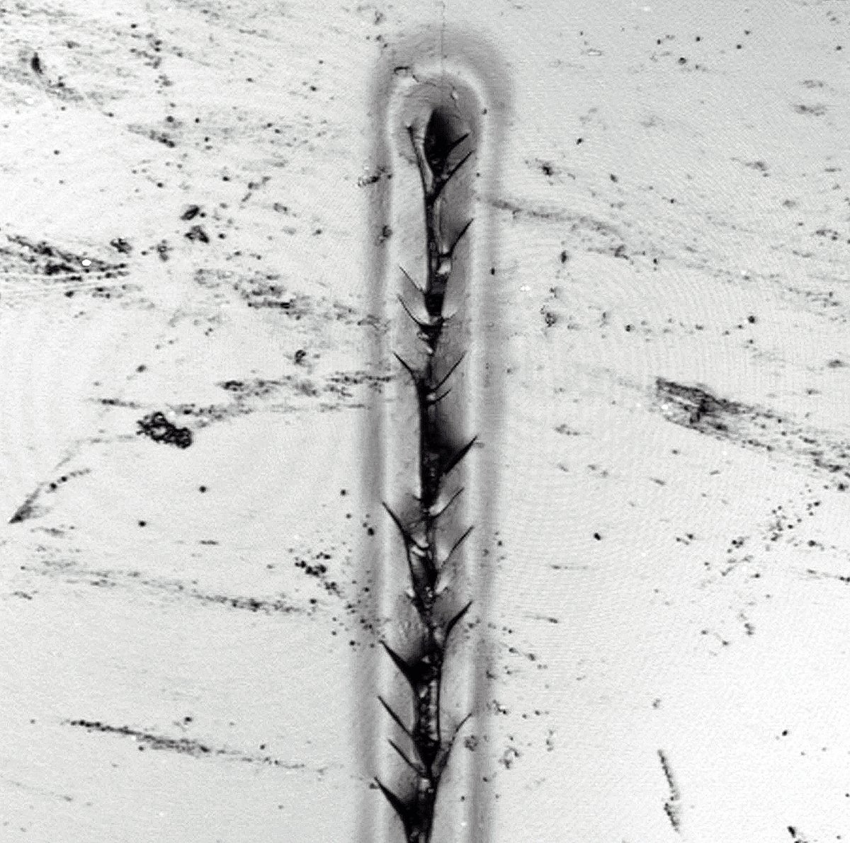 Photomicrograph showing the result of a NIST nanoscale scratch test on a sample of automobile clearcoat material. The scratch, which shows fractures radiating from the line of impact, is 20 micrometers wide, 150 micrometers long and 2 micrometers deep (A micrometer is a millionth of a meter or about half the length of an average E. coli bacterium.).  Credit: NIST