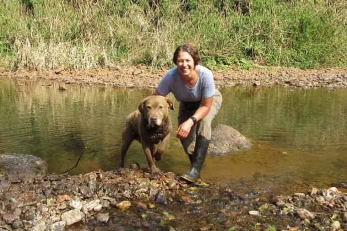 Washington University researcher Karen DeMatteo and her scat-sniffing dog Train are on a mission to preserve jaguars, pumas, bush dogs and other carnivores in the forests of Northeastern Argentina. (Photo: courtesy of Karen DeMatteo/Washington University)