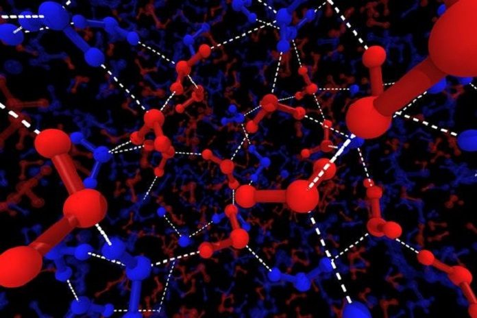 Illustration of water's local structures. The blue lines show the H2O molecules of tetrahedral structure, the red lines show H2O molecules of disordered structure. The large balls show oxygen atoms, the small balls show hydrogen and the dotted white lines represent Hydrogen bonds. Credit: 2018 Hajime Tanaka, Institute of Industrial Science, The University of Tokyo