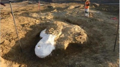The bones found at a landfill construction site in San Juan Capistrano, California
