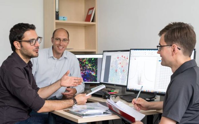 The scientific team of the Zika virus study (from left to right): Pietro Scaturro, Prof. Andreas Pichlmair and Dr. Alexey Stukalov