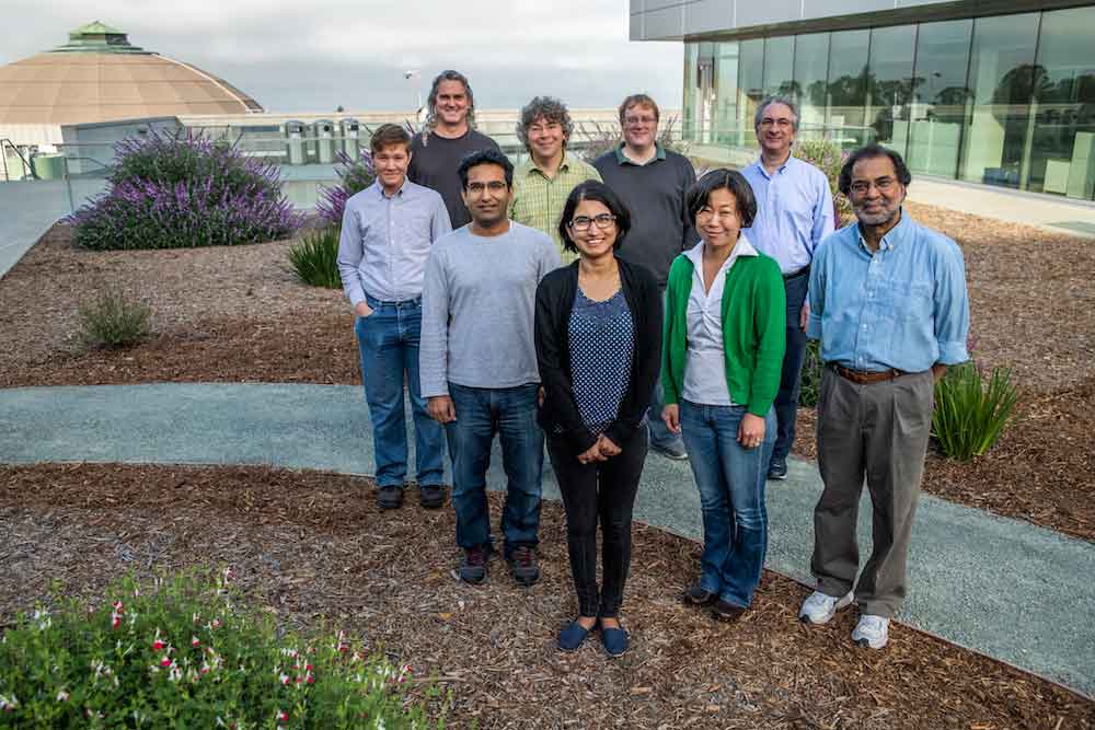 Berkeley Lab researchers (front row, from left) Iris Young, Sheraz Gul, Ruchira Chatterjee, Junko Yano, Vittal Yachandra, (back, from left) Nigel Moriarty, Jan Kern, Aaron Brewster, and Nicholas Sauter have captured the most complete images of photosynthesis in action. (Credit: Marilyn Chung/Berkeley Lab)