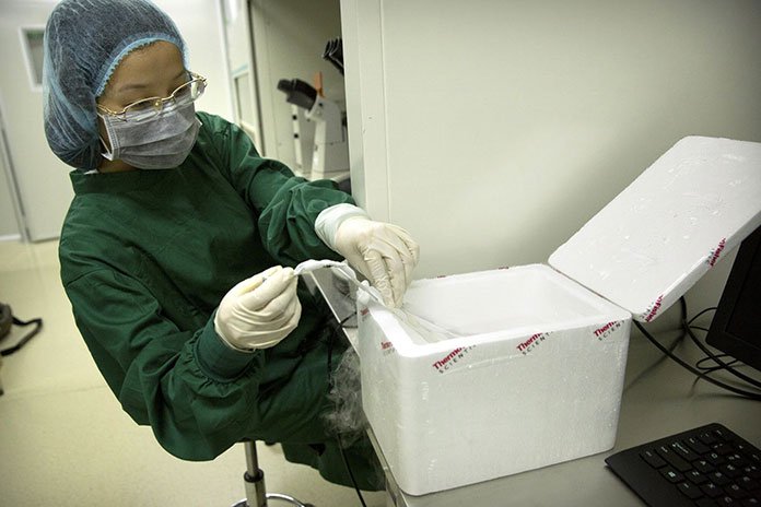 In this Oct. 9, 2018 photo, Zhou Xiaoqin places an embryo in its storage tube into a liquid nitrogen bath after its removal from cryostorage at a laboratory in Shenzhen in southern China's Guangdong province. Chinese scientist He Jiankui claims he helped make world's first genetically edited babies: twin girls whose DNA he said he altered. He revealed it Monday, Nov. 26, in Hong Kong to one of the organizers of an international conference on gene editing. (AP Photo/Mark Schiefelbein)