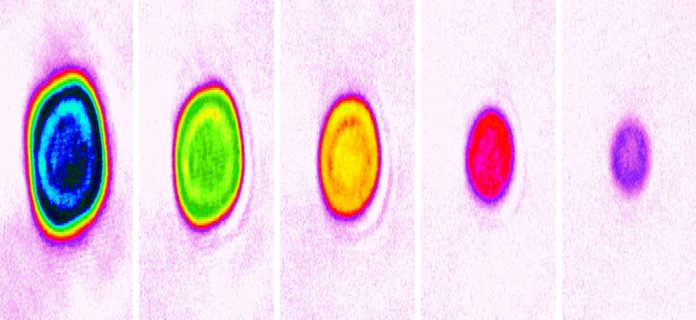 False-color images showing variations in atom numbers (1 to 5 atoms, left to right) and density in different lattice cells of JILA’s strontium lattice atomic clock. JILA researchers observed shifts in the clock’s frequency that arise from the emergence of multi-particle interactions when three or more atoms occupy a single cell. Credit: Aki Goban, Ye group/JILA