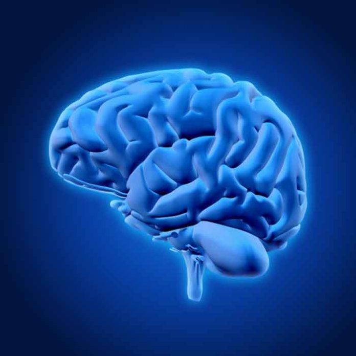 Classifying brain microglia: Good and bad