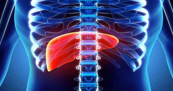 Liver failure caused by attack on blood vessel cells