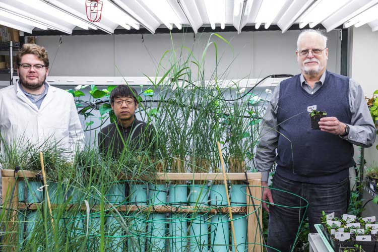 The team behind the modified houseplants. From left to right: Ryan Routsong, Long Zhang, Stuart Strand.Mark Stone/University of Washington