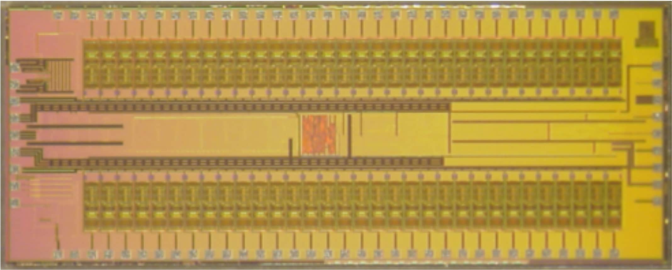 WAND’s custom integrated circuits. (credit: Rikky Muller, UC Berkeley)