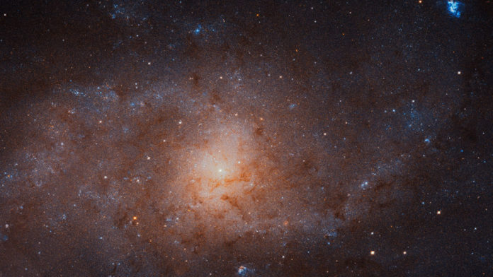 This gigantic image of the Triangulum Galaxy — also known as Messier 33 — is a composite of about 54 different pointings with Hubble’s Advanced Camera for Surveys. With a staggering size of 34 372 times 19 345 pixels, it is the second-largest image ever released by Hubble. It is only dwarfed by the image of the Andromeda Galaxy, released in 2015. The mosaic of the Triangulum Galaxy showcases the central region of the galaxy and its inner spiral arms. Millions of stars, hundreds of star clusters and bright nebulae are visible. This image is too large to be easily displayed at full resolution and is best appreciated using the zoom tool. Credit: NASA, ESA, and M. Durbin, J. Dalcanton, and B. F. Williams (University of Washington)