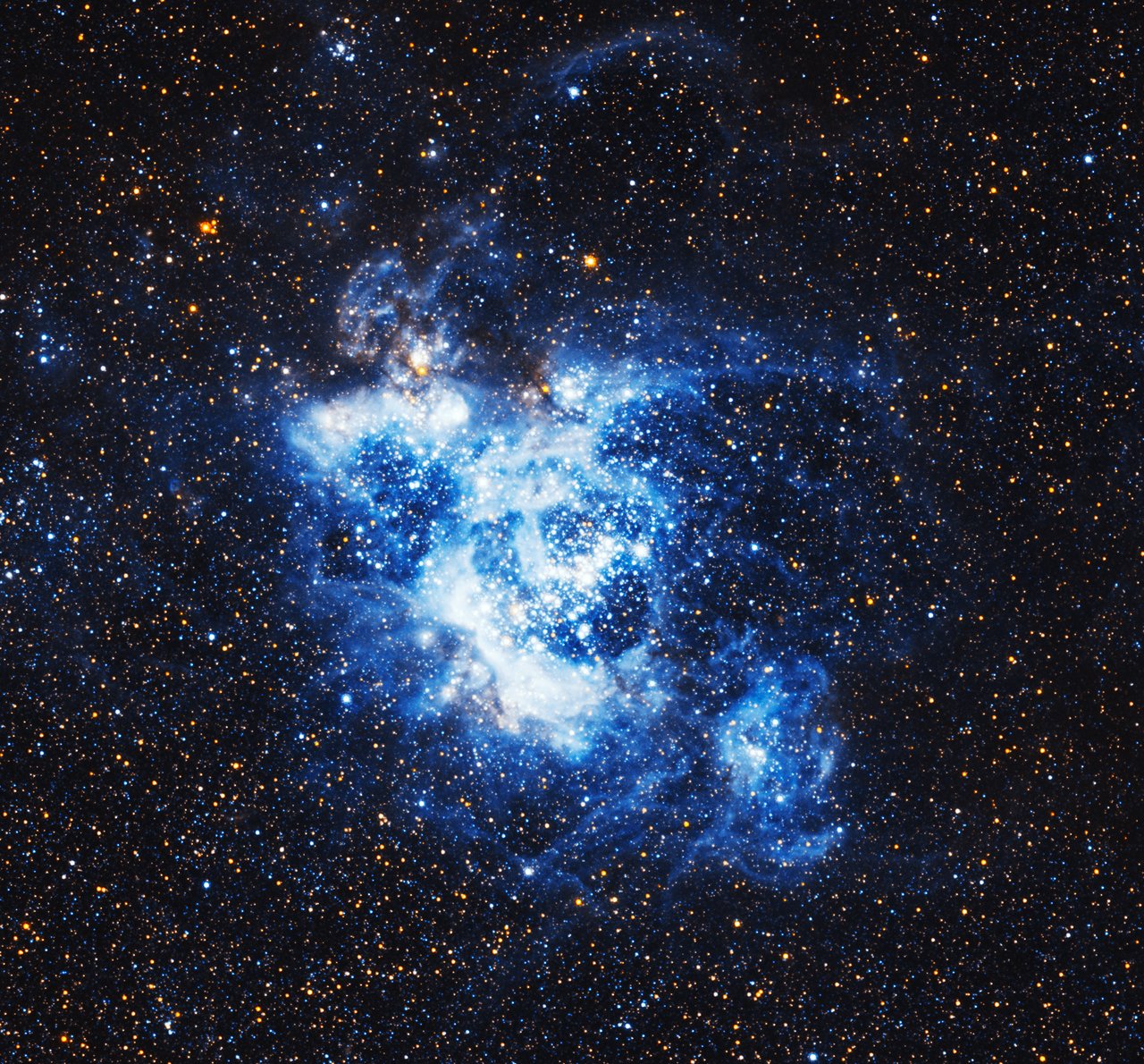 This image shows NGC 604, located within the Triangulum Galaxy. Some 1500 light-years across, this is one of the largest, brightest concentrations of ionised hydrogen (H II) in our Local Group of galaxies, and it is a major centre of star formation.  The gas in NGC 604, around nine-tenths of which is hydrogen, is gradually collapsing under the force of gravity to create new stars. Once these stars have formed, the energetic ultraviolet radiation they emit excites the remaining gas in the cloud.  This image is only a tiny part of the large wide-field image of the Triangulum Galaxy created by the NASA/ESA Hubble Space Telescope.  Hubble has observed this object before, with different cameras: In 2003, using the WFPC2 and in 2010, using the ACS. The different colours in the images have their origin in the different filters being used.  Credit: NASA, ESA, and M. Durbin, J. Dalcanton, and B. F. Williams (University of Washington)