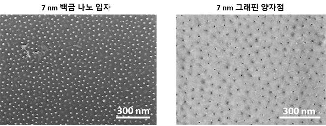 The SEM images of highly-ordered Pt nanoparticles and GQDs.