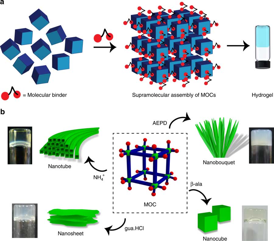 Scientists created a method to produce designer hydrogels