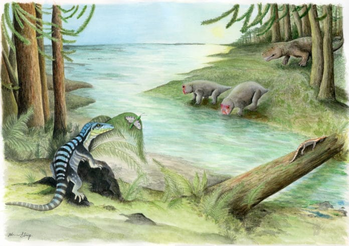 Illustration “The midnight sun over Early Triassic Antarctica” by Adrienne Stroup. Along the banks of a river, three archosaur inhabitants of the dense Voltzia conifer forest cross paths: Antarctanax shackletoni sneaks up on an early titanopetran insect, Prolacerta lazes on a log, and an enigmatic large archosaur pursues two unsuspecting dicynodonts, Lystrosaurus maccaigi.Adrienne Stroup/Field Museum.