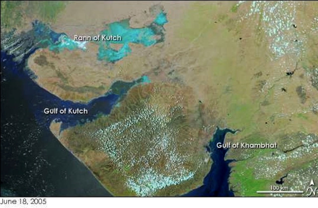 Gujarat Gulfs