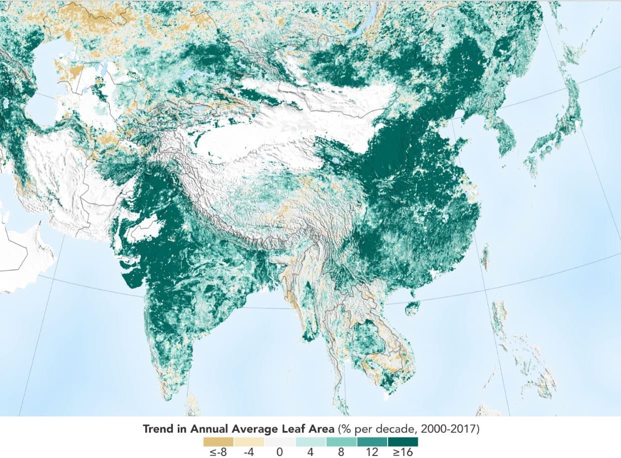 India and China are greening faster than rest of the world