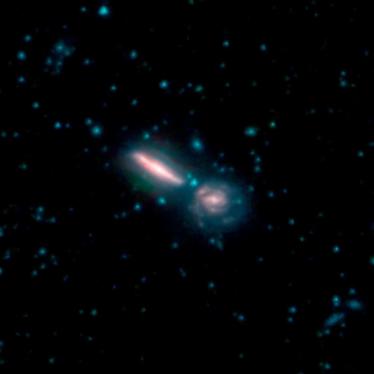 This image shows two merging galaxies known as Arp 302, also called VV 340. In these images, different colors correspond to different wavelengths of infrared light. Blue and green are wavelengths both strongly emitted by stars. Red is a wavelength mostly emitted by dust. Credit: NASA/JPL-Caltech