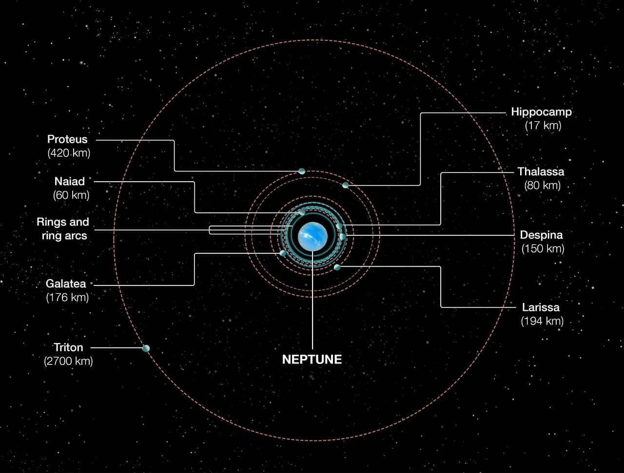 This diagram shows the orbital positions of Neptune’s inner moons, which range in size from 17 to 420 kilometres in diameter. The outer moon Triton was captured from the Kuiper belt many billions of years ago. This tore apart Neptune’s original satellite system. After Triton settled into a circular orbit the debris from shattered moons re-coalesced into the second generation of inner satellites seen today. However, comet bombardment continued, leading to the birth of Hippocamp, which is a broken-off piece of Proteus. Therefore, Hippocamp is considered to be a third-generation satellite. Neither the size of the moons and Neptune, nor the orbits are to scale.