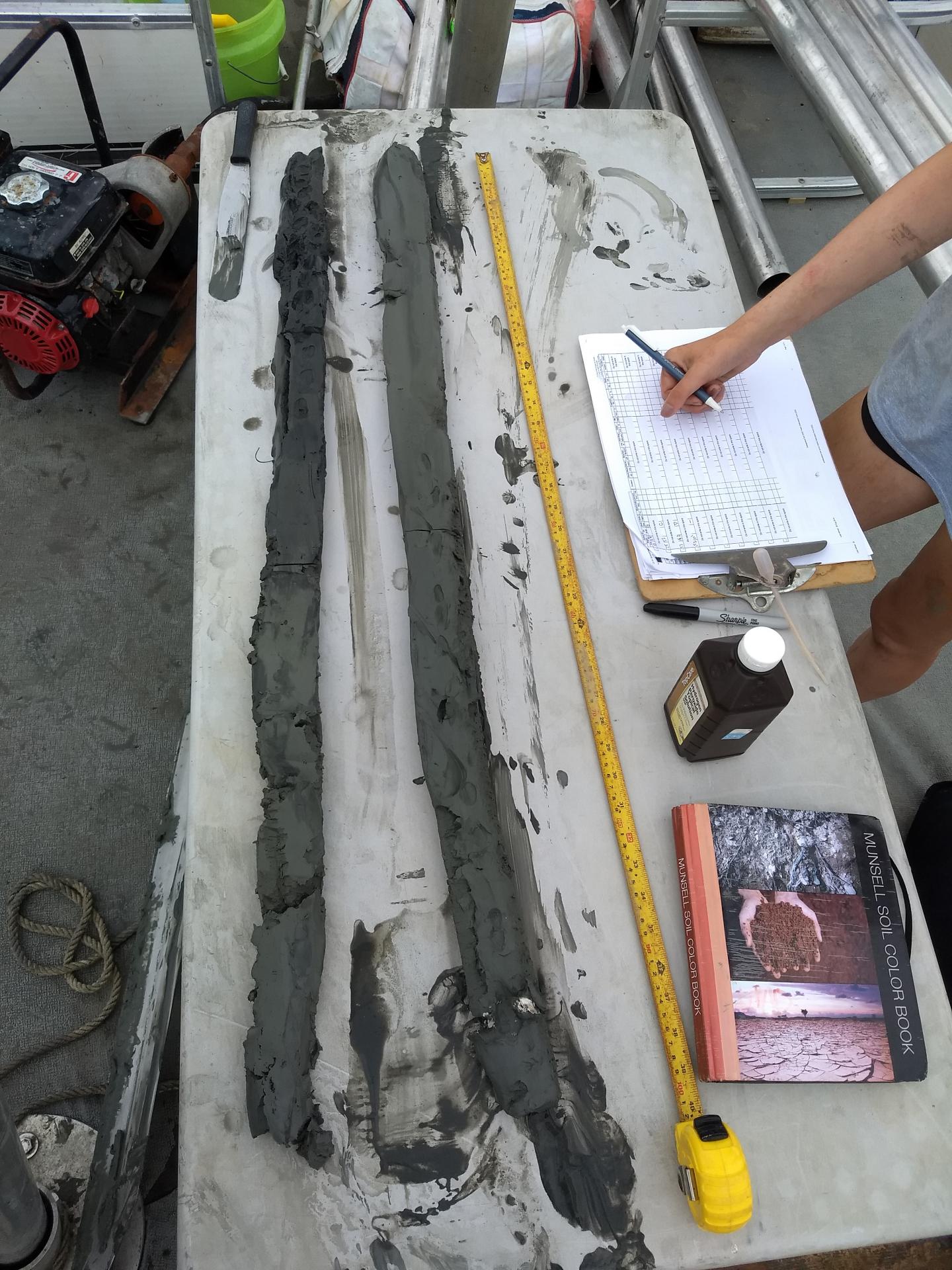 Describing soils on a boat can be tricky. The crew collected two meters of this soil from a submerged cove, and is hard at work describing colors, textures, and more. White spots deep in the core on the right reveal an ancient oyster reef. Photo credit Barret Wessel.  CREDIT Barret Wessel