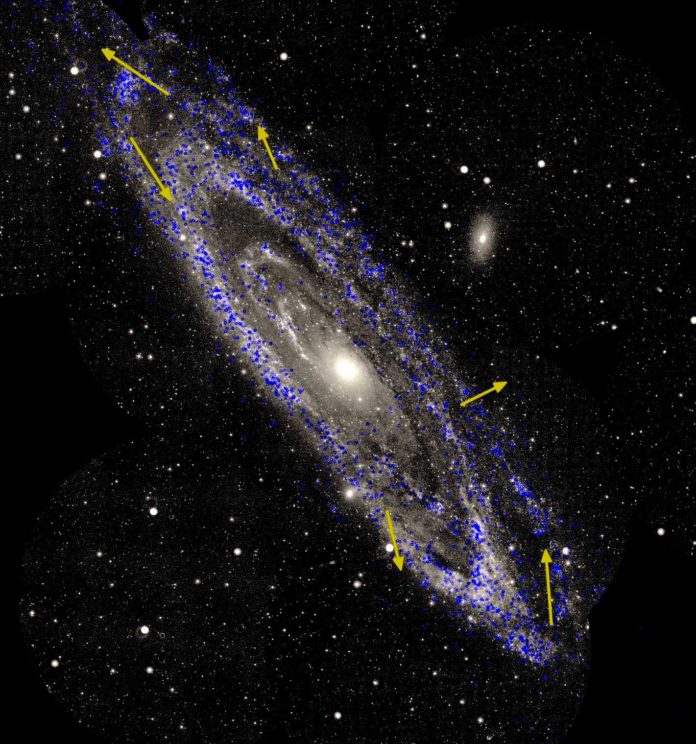 Stellar motions in the Andromeda galaxy