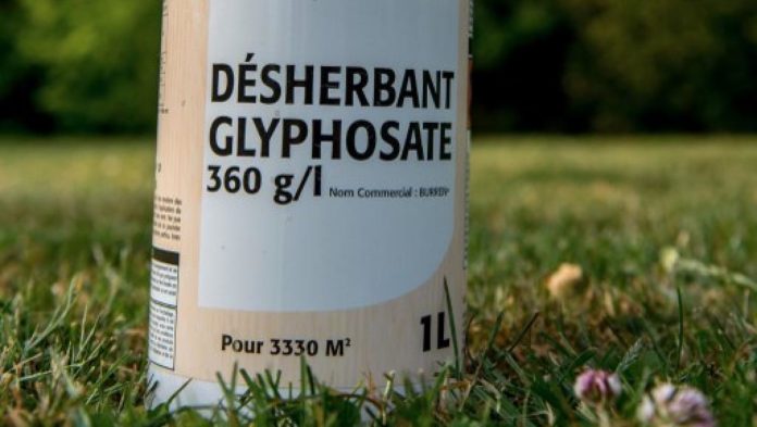 Exposure to chemical in Roundup increases risk for cancer