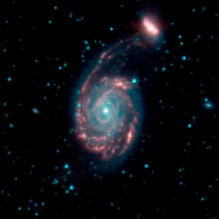 This image shows the merger of two galaxies, known as NGC 7752 (larger) and NGC 7753 (smaller), also collectively called Arp86. In these images, different colors correspond to different wavelengths of infrared light. Blue and green are wavelengths both strongly emitted by stars. Red is a wavelength mostly emitted by dust. Credit: NASA/JPL-Caltech