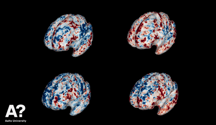 Scans of the brains of four different people, all thinking about clues for moose. (Sasa L. Kivisaari)