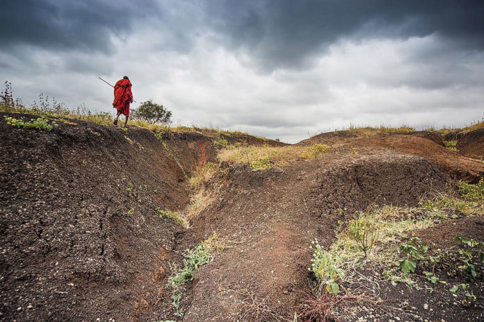 Interdisciplinary approach the only way to address devastating effects of soil erosion
