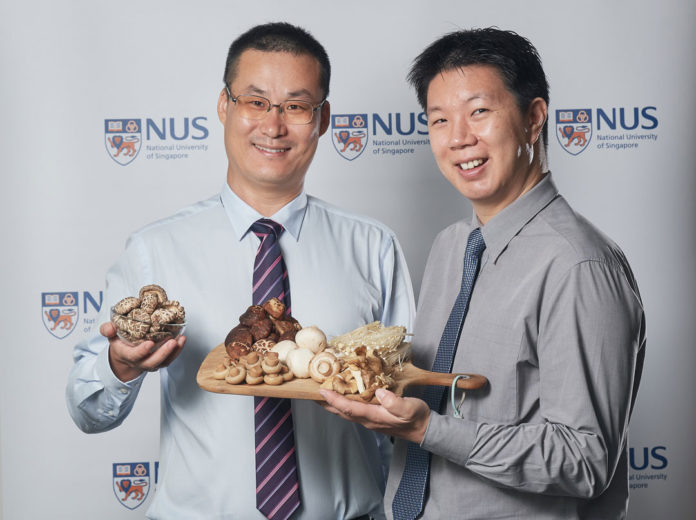 A six-year study, led by Assistant Professor Feng Lei (left) from the National University of Singapore, found that seniors who ate more than 300 grams of cooked mushrooms a week were half as likely to have mild cognitive impairment. Dr Irwin Cheah (right) is a member of the research team. Credit: National University of Singapore