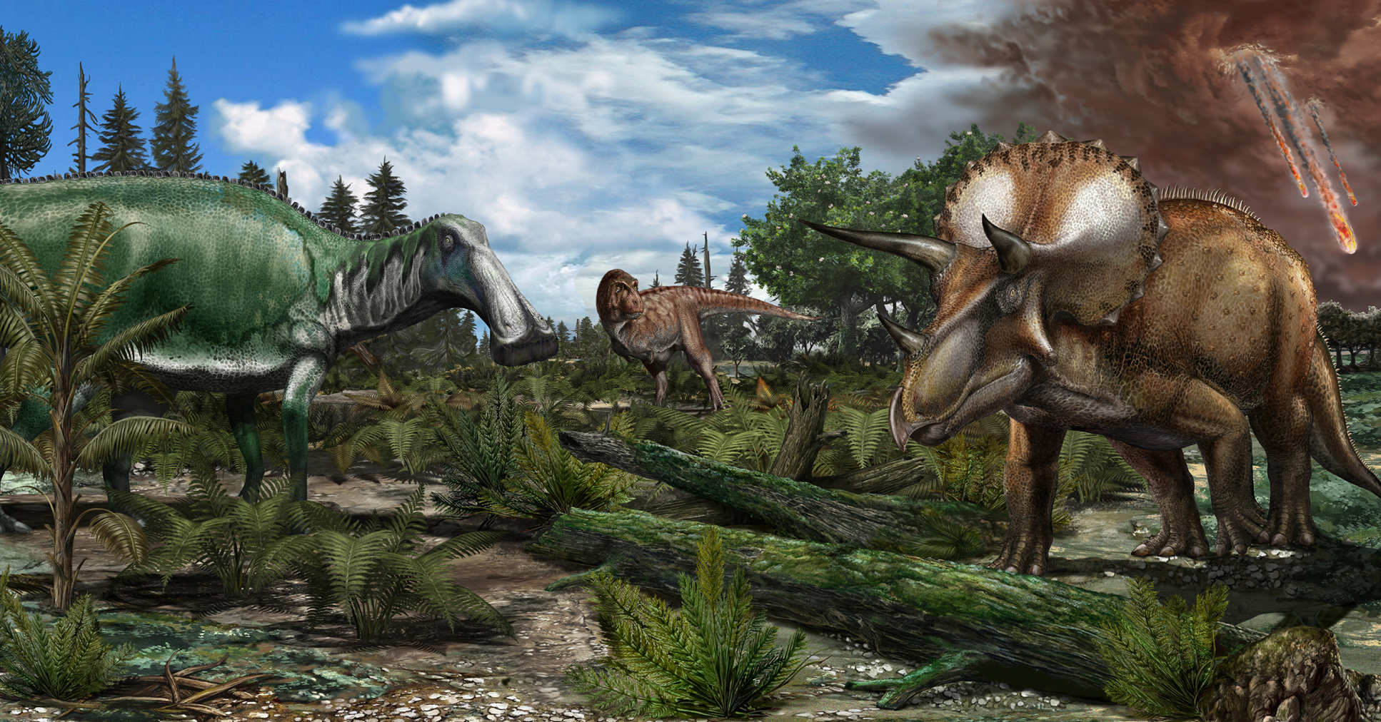 Reconstruction of a late Maastrichtian (.66 million years ago) palaeoenvironment in North America, where a floodplain is roamed by dinosaurs like Tyrannosaurus rex, Edmontosaurus and Triceratops. Image credit: Davide Bonadonna