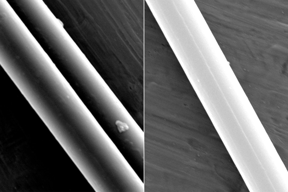 Scanning electron microscope images show filaments of spider dragline silk. Photo courtesy of the researchers