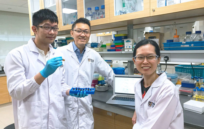 From left: Mr Toh Yi Long, Associate Professor Alexandre Chan and Assistant Professor Lau Aik Jiang are members of the team that found clinically relevant factors which predispose patients to chemobrain. Credit: National University of Singapore