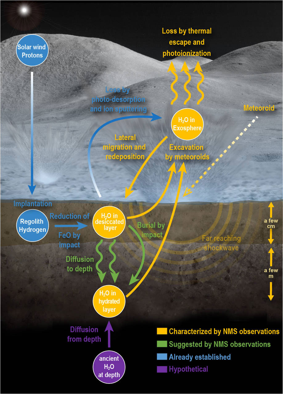 This infographic shows the lunar water cycle based on the new observations from the Neutral Mass Spectrometer on board the LADEE spacecraft. At the lunar surface, a dry layer overlays a hydrated layer. Water is liberated by shock waves from meteoroid impacts. The liberated water either escapes to space or is redeposited elsewhere on the Moon. Some water is created by chemical reactions between the solar wind and the surface or delivered to the Moon by the meteoroids themselves. However, in order to sustain the water loss from meteoroid impacts, the hydrated layer requires replenishment from a deeper ancient water reservoir. Credits: NASA Goddard/Mehdi Benna/Jay Friedlander