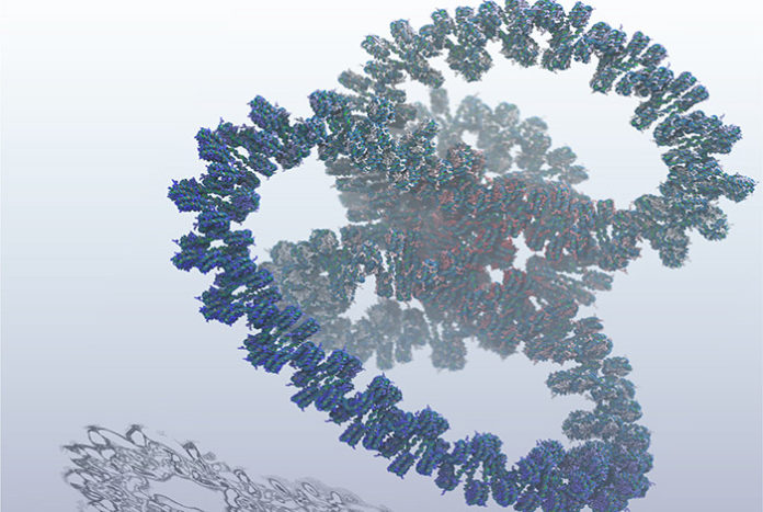 April 22, 2019 largest simulation to date of an entire gene of DNA A Los Alamos-led team created the largest simulation to date of an entire gene of DNA, a feat that required one billion atoms to model.