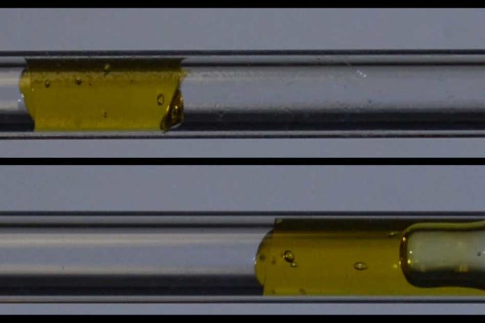 A gel-like yield stress fluid, top, moves as a plug without shearing in a tube with the new surface coating. At bottom, the same fluid is seen shearing while it flows in an uncoated tube, where part of the fluid gets stuck to the tube while part of it continues to flow.