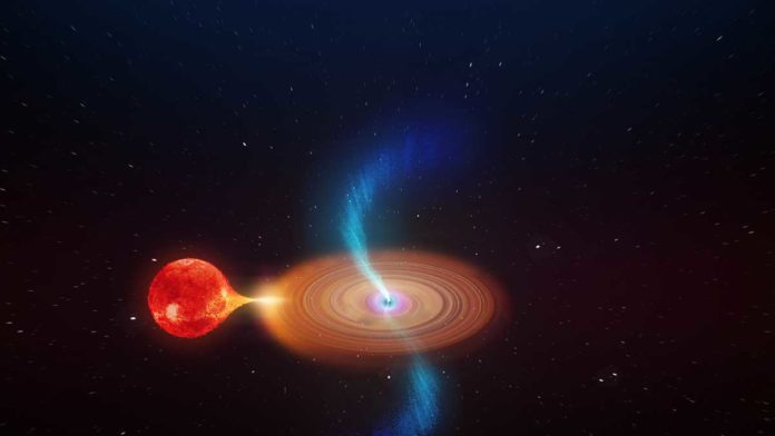 Artist’s impression of V404 Cygni seen close up. The binary star system consists of a normal star in orbit with a black hole. Material from the star falls towards the black hole and spirals inwards in an accretion disk, with powerful jets being launched from the inner regions close to the black hole. Credit: ICRAR