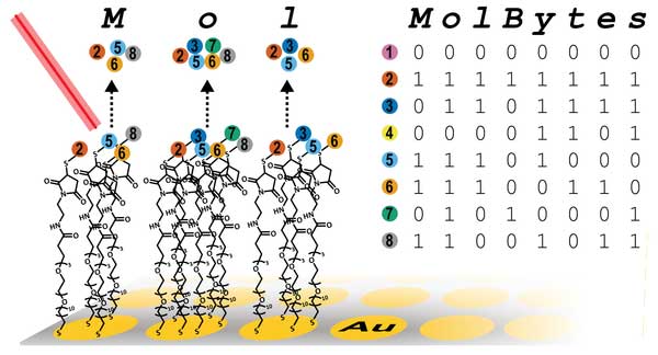  Pairing molecule mass and binary code, the Whitesides team can "write" massive amounts of data Credit: Michael J. Fink