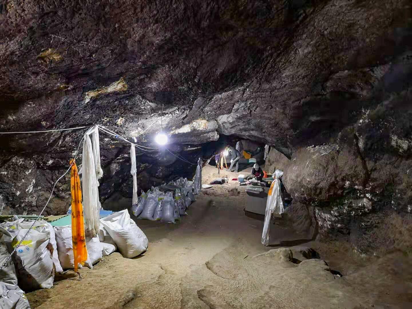 The entrance of the cave is relatively flat with a gentle slope up to the inside, where two small trenches were plotted in 2018. Credit: Dongju Zhang, Lanzhou University