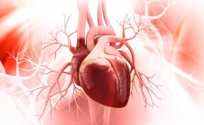 How does heart failure develop in people with chronic kidney disease?