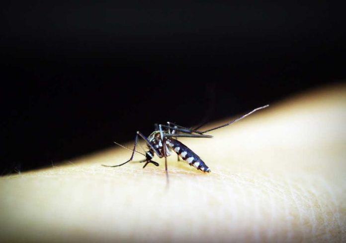 FDA approves the first vaccine for dengue fever