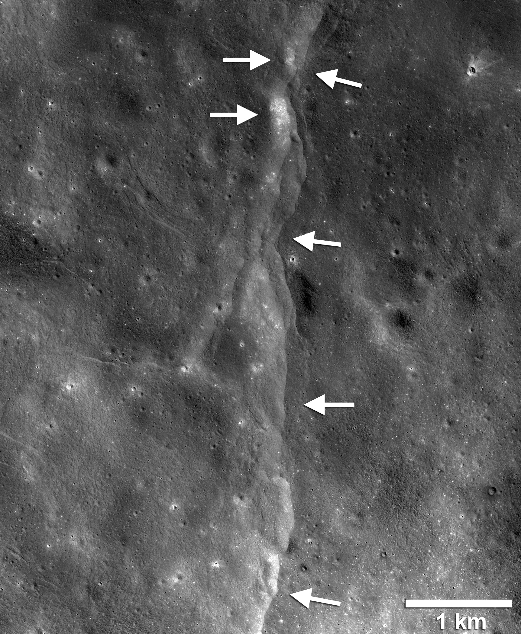 This prominent lunar lobate thrust fault scarp is one of thousands discovered in Lunar Reconnaissance Orbiter Camera (LROC) images. The fault scarp or cliff is like a stair-step in the lunar landscape (left-pointing white arrows) formed when the near-surface crust is pushed together, breaks, and is thrust upward along a fault as the Moon contracts. Boulder fields, patches of relatively high bright soil or regolith, are found on the scarp face and back scarp terrain (high side of the scarp, right-pointing arrows). Image LROC NAC frame M190844037LR. Credits: NASA/GSFC/Arizona State University/Smithsonian