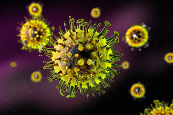 Harvard Medical School researchers identify new targets to inhibit viral replication and may inform the development of a new class of antiviral drugs. iStock