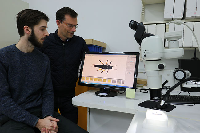 Brodie Foster (L) and Prof Jon Waters (R) examining the Maungatua stonefly