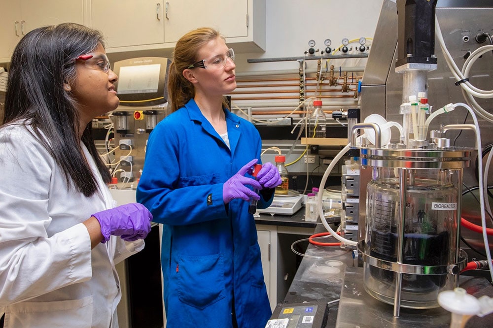 Aindrila Mukhopadhyay and Maren Wehrs inspect a bioreactor full of their Bluebelle strain at JBEI. Image: Berkeley Lab