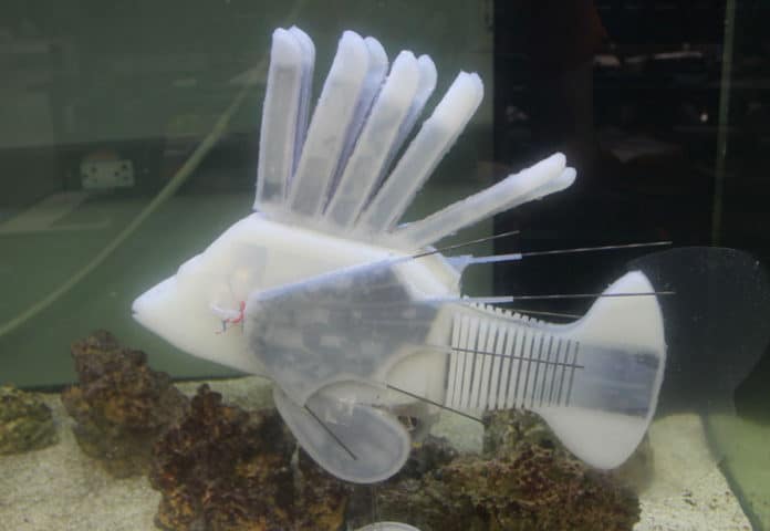 Robo-fish powered by battery ‘blood’